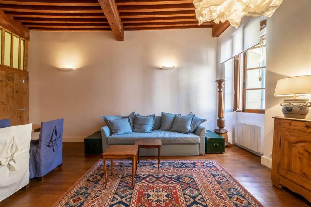 Le Rousseau Apartman Annecy Kültér fotó
