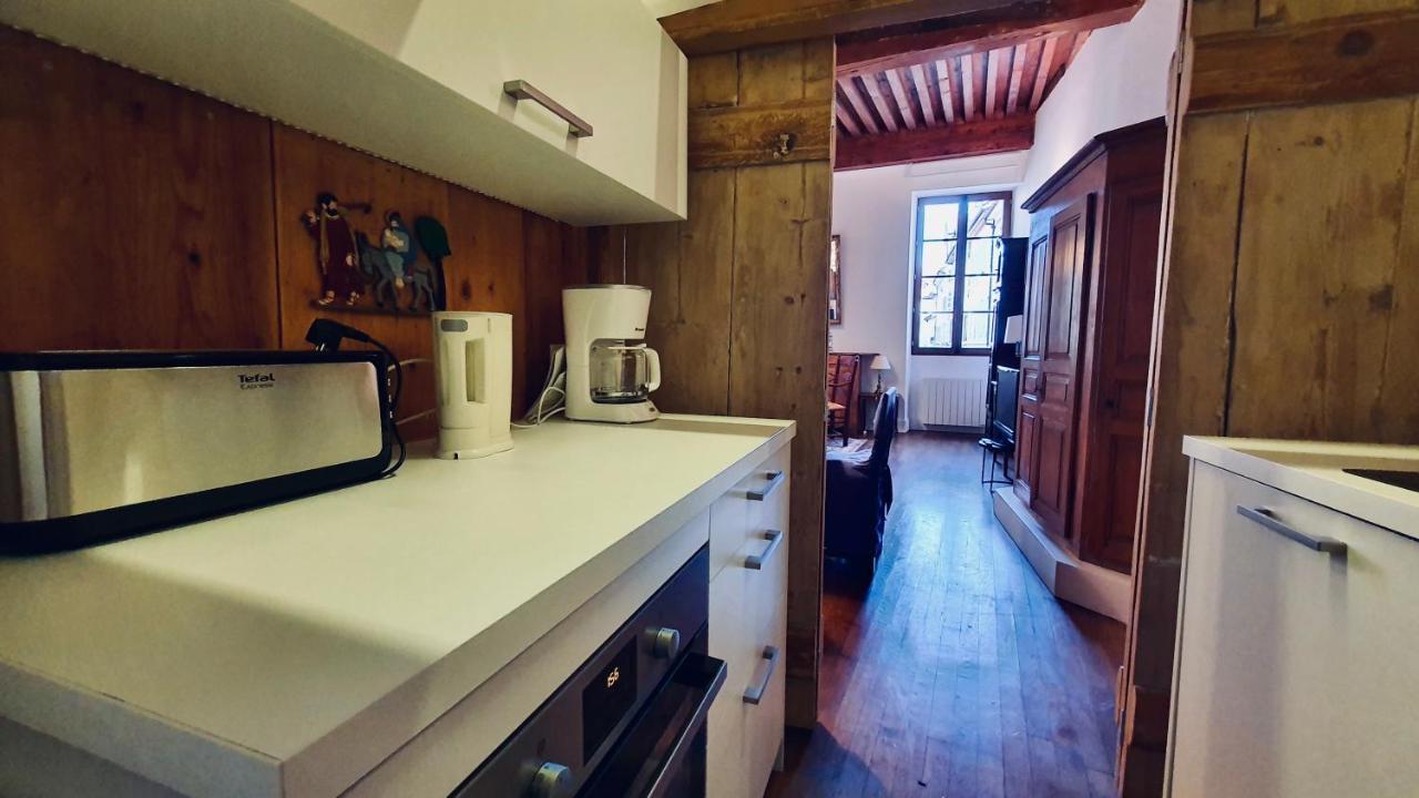 Le Rousseau Apartman Annecy Kültér fotó